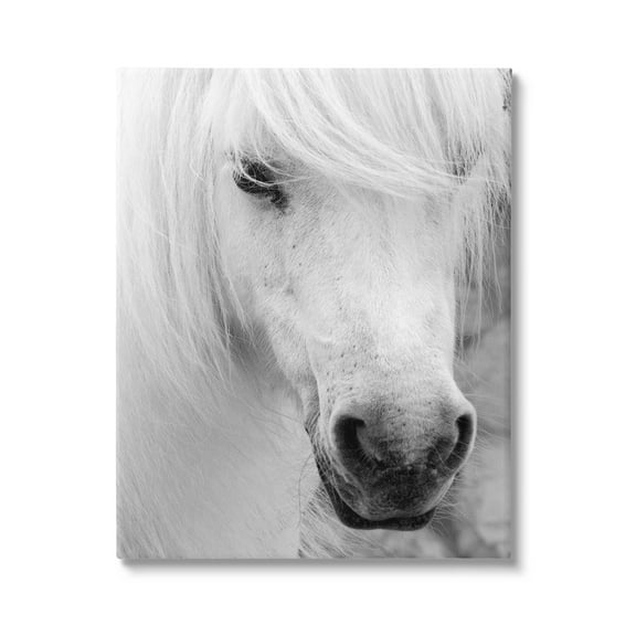 Elegant White Horse Stallion Animals & Insects Photograph Gallery Wrapped Canvas Print Wall Art