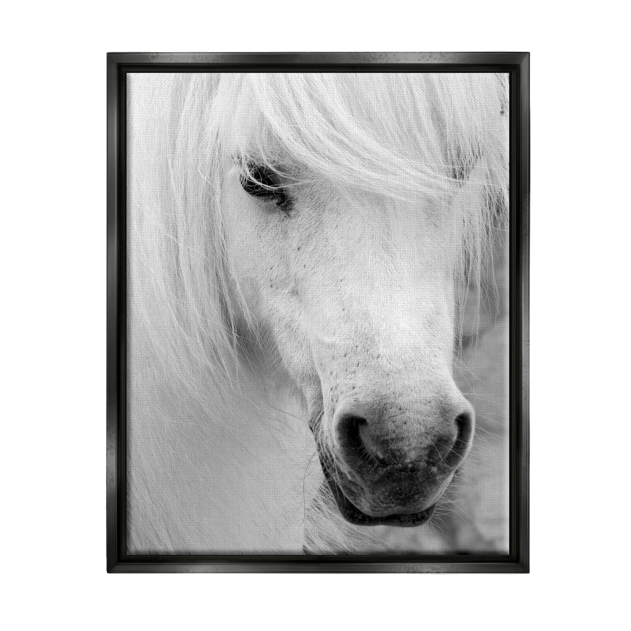 Elegant White Horse Stallion Animals & Insects Photograph Jet Black Framed Art Print Wall Art