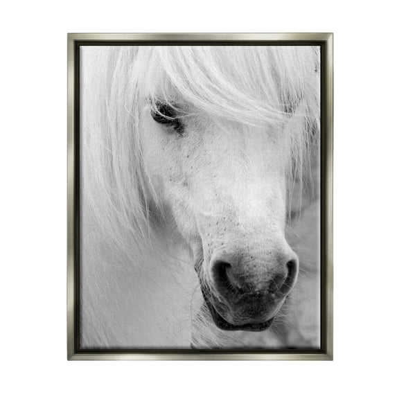 Elegant White Horse Stallion Animals & Insects Photograph Luster Gray Framed Art Print Wall Art