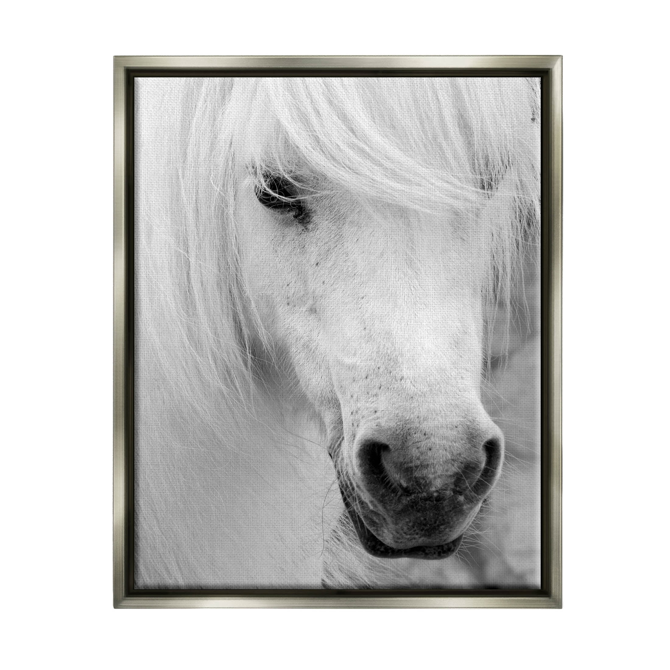 Elegant White Horse Stallion Animals & Insects Photograph Luster Gray Framed Art Print Wall Art