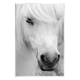 thumbnail image 1 of Elegant White Horse Stallion Animals & Insects Photograph Unframed Art Print Wall Art, 1 of 6