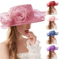 thumbnail image 1 of Elegant Wide Brim Sun Hat for Women Mesh Design Spring Summer Wedding Wear, 1 of 5