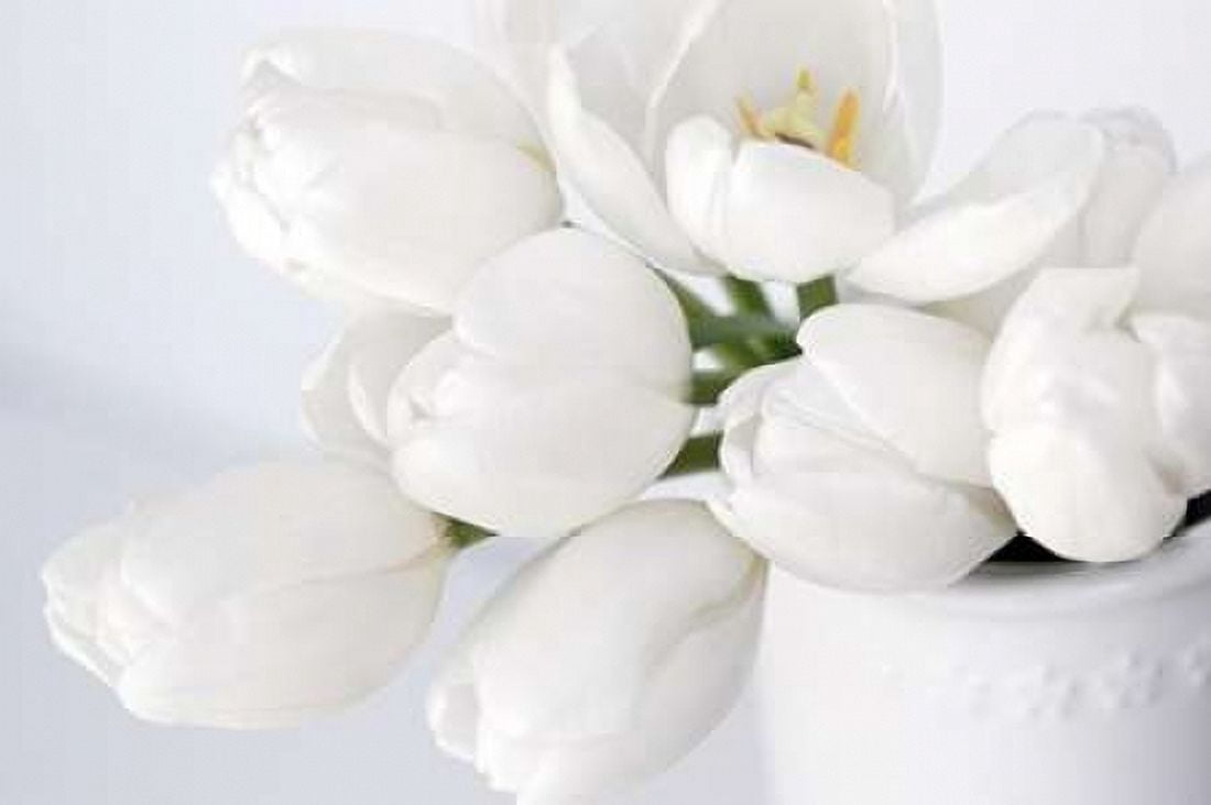 Elegant in White Canvas Art - Karen Naugle (24 x 36)
