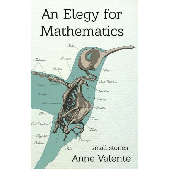 Elegy For Mathematics, An (Paperback)