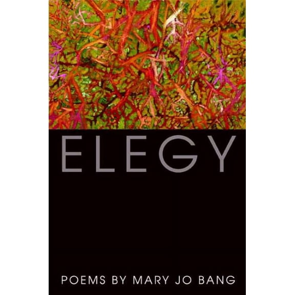 Elegy (Paperback)