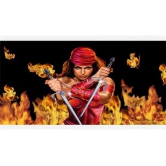 Elektra Photo License Plate