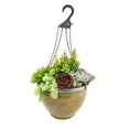 thumbnail image 1 of Element 12IN Live Plant Succulent Hanging Basket Mixed Varieties Live Plants, 1 of 8