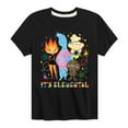 thumbnail image 1 of Elemental - Its Elemental - Toddler & Youth Short Sleeve Graphic T-Shirt, 1 of 5