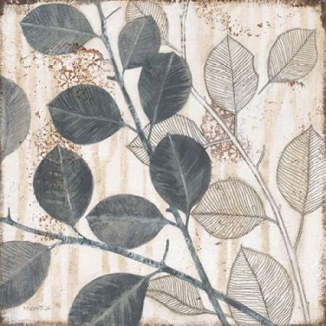 Elemental Leaves 2 Canvas Art - Norman Jr Wyatt (24 x 24)