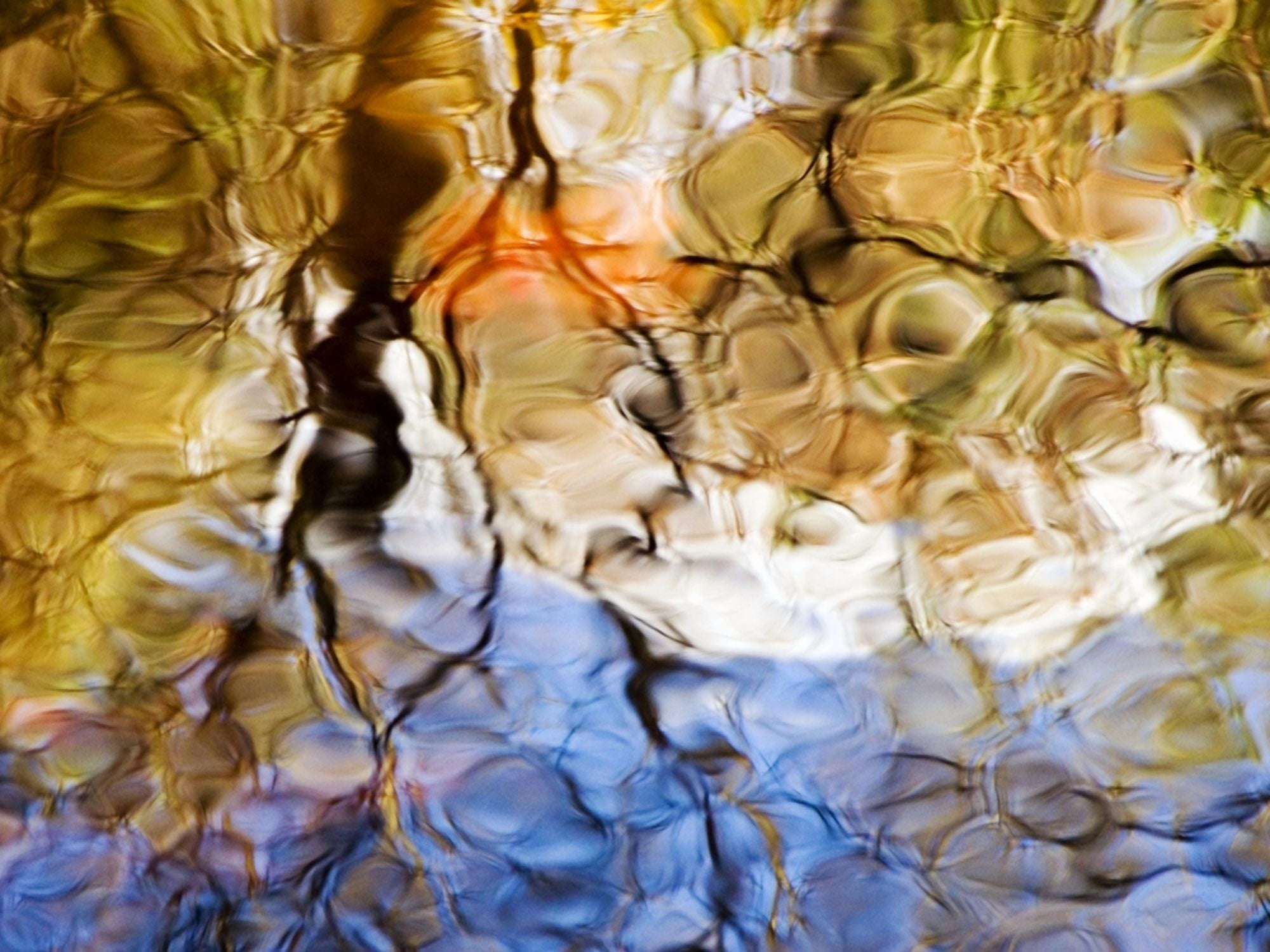 Elementals Massachusetts Seekonk Caratunk Wildlife Refuge Colorful Glassy Reflections On Water Canvas Art - Joanne Baldaia Design Pics (32 x 24)