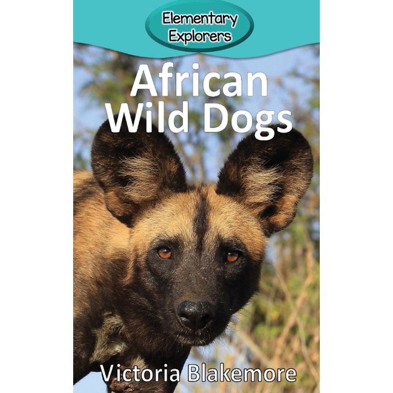 Dog Breeds That Look Like Hyenas | americanlycetuffschool.edu.pk