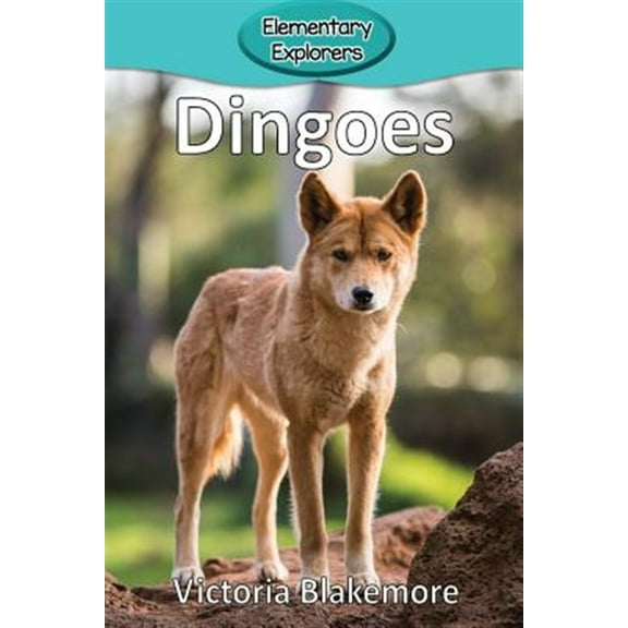 Elementary Explorers: Dingoes (Paperback)