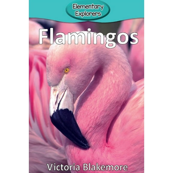 Elementary Explorers Flamingos, Book 3, (Paperback)