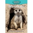 thumbnail image 1 of Elementary Explorers Meerkats, Book 13, (Paperback), 1 of 1