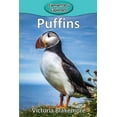 thumbnail image 1 of Elementary Explorers Puffins, Book 104, (Paperback), 1 of 1