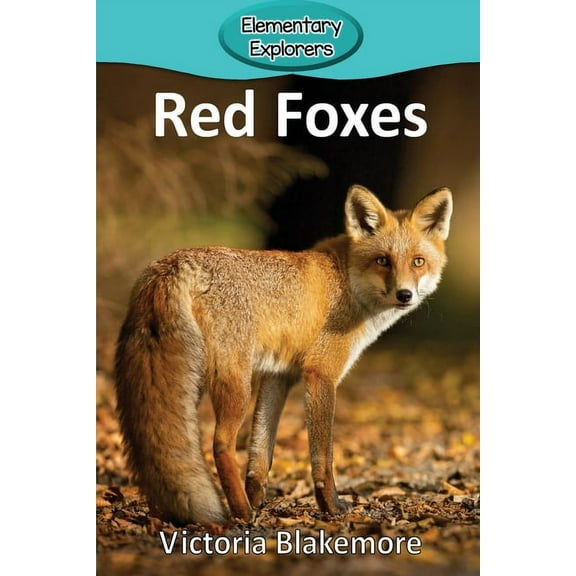 Elementary Explorers: Red Foxes (Paperback)