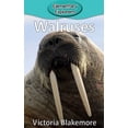 thumbnail image 1 of Elementary Explorers Walruses, Book 15, (Hardcover), 1 of 1