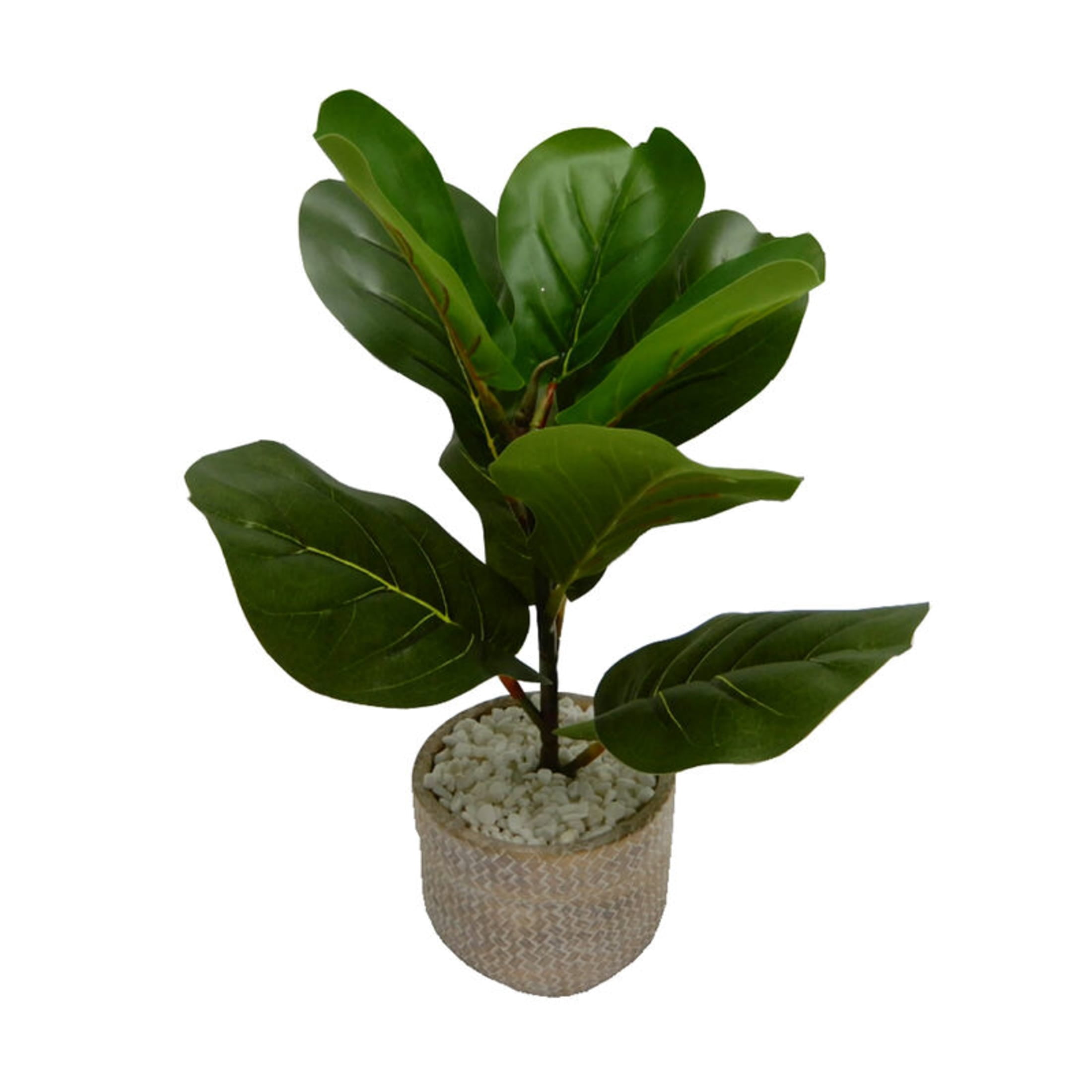 Elements 15 inch Leaf Fig Embossed Cement Pot