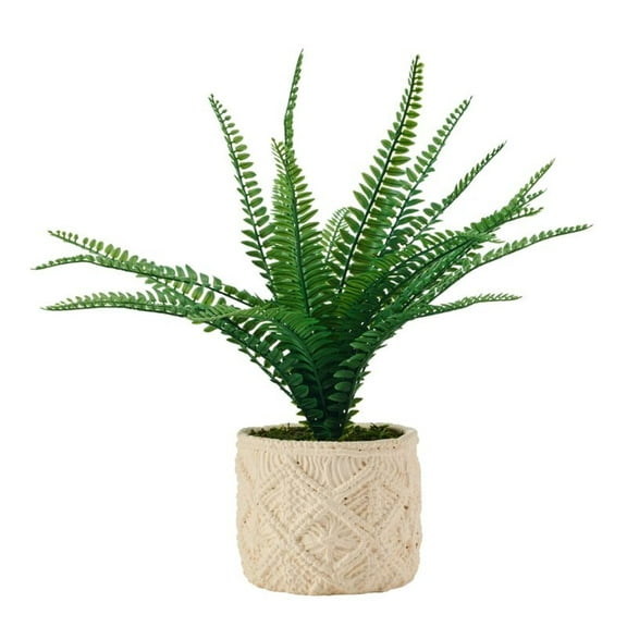 Elements 18 inch Fern in Embossed Cement Pot Green