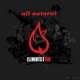 thumbnail image 1 of Elements (Fire), 1 of 1
