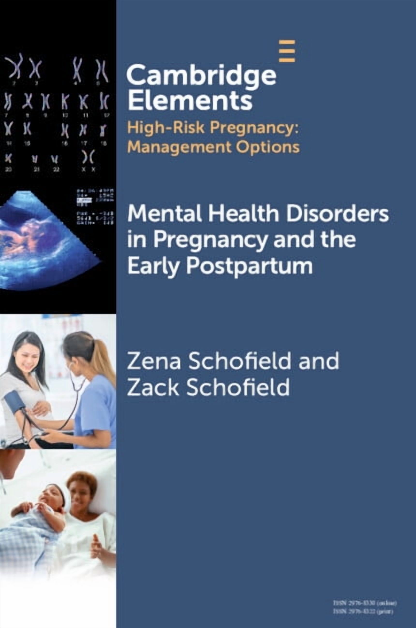 Elements in High Risk Pregnancy: Managem Mental Health Disorders in Pregnancy and the Early Postpartum, (Paperback)