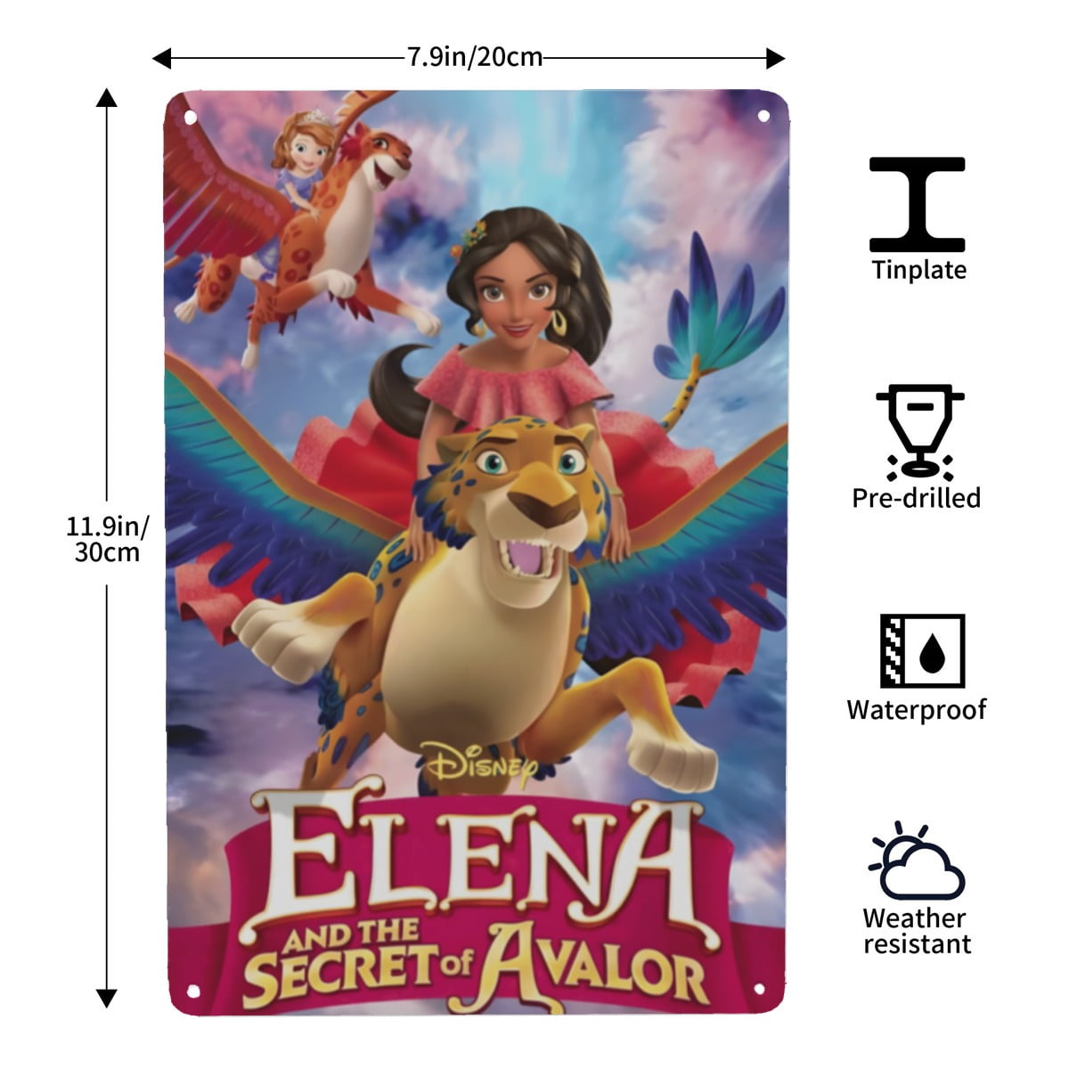 Elena of Avalor Princess-themed Tin Painting tin piece, 8×12 in (20×30 ...
