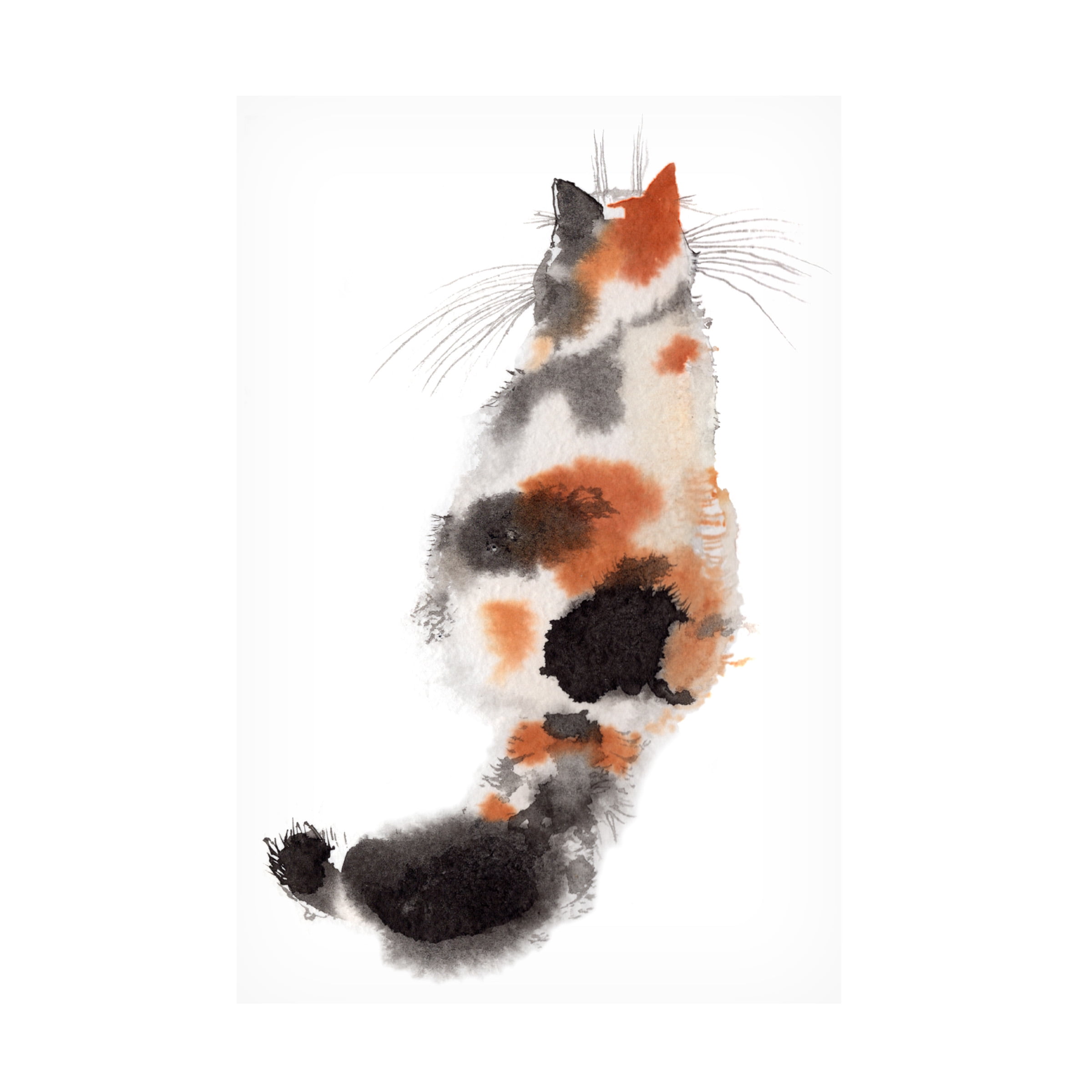 Elena Bolgova 'Caliko' Canvas Art
