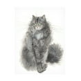 thumbnail image 1 of Elena Bolgova 'Green-Eyed Cat' Canvas Art, 1 of 3