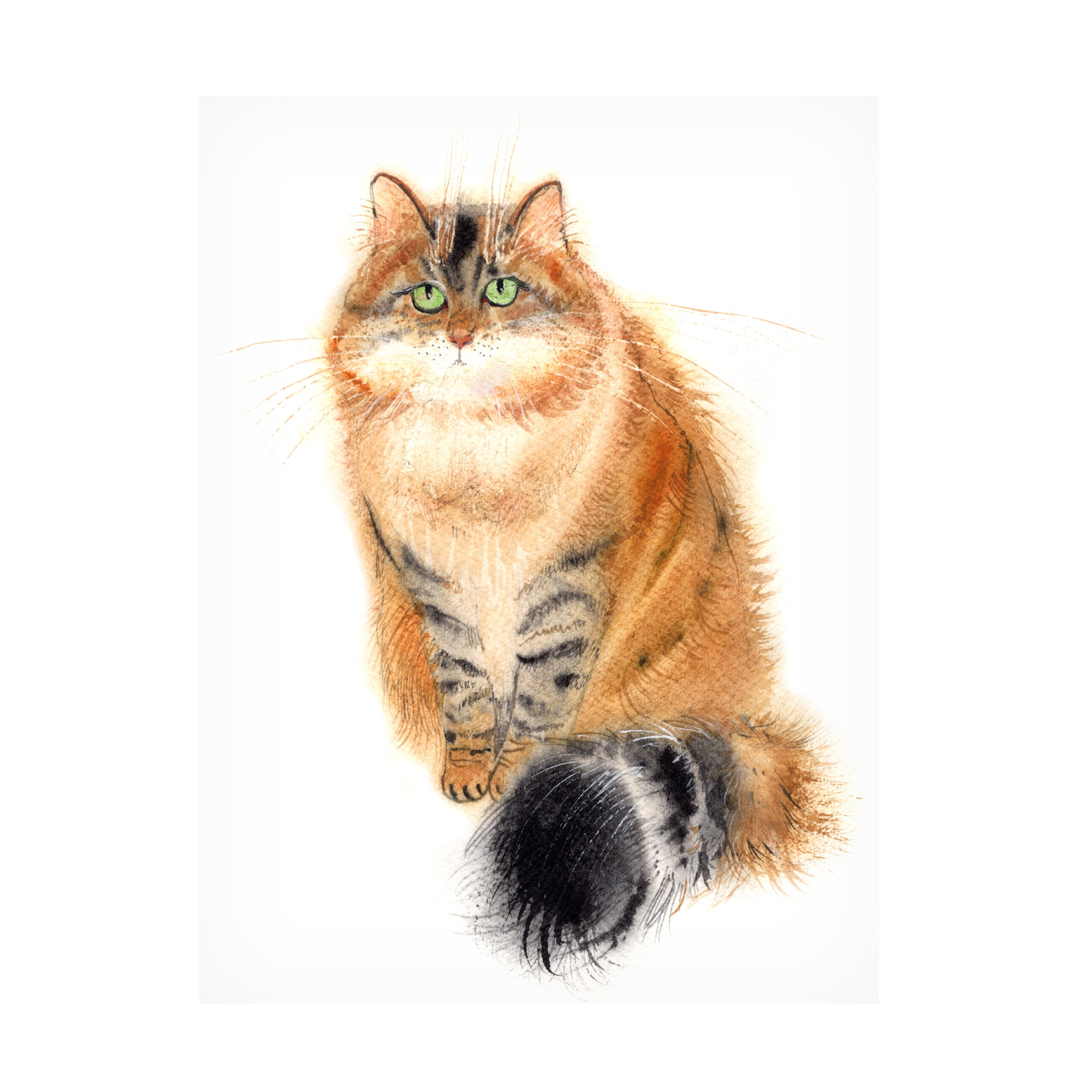 Elena Bolgova 'Siberian Cat' Canvas Art