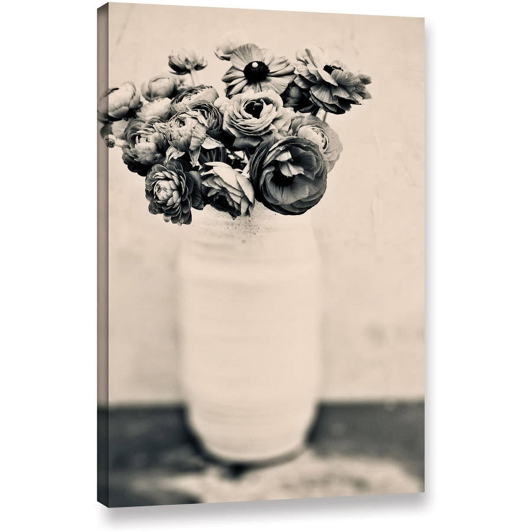 Elena Ray "Black And White Ranunculus" Gallery-Wrapped Canvas Art