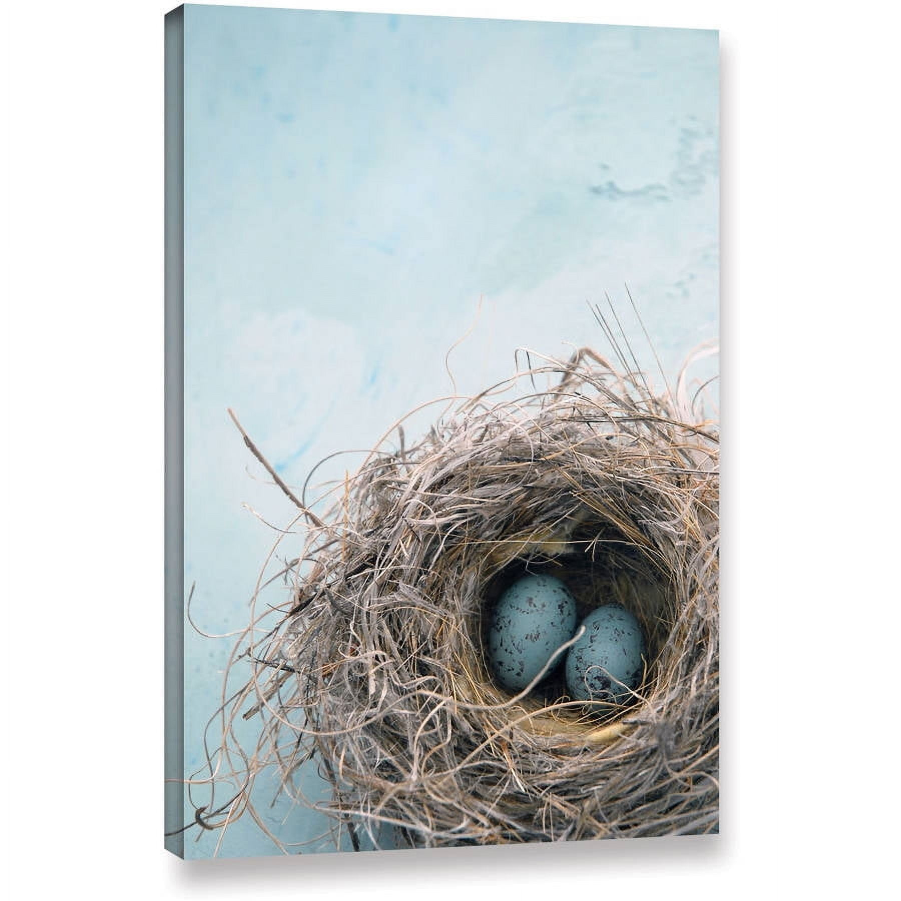 Elena Ray "Blue Nest" Gallery-Wrapped Canvas