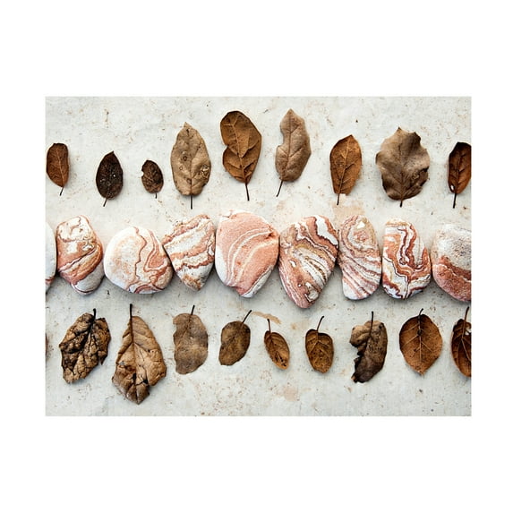 Elena Ray 'Gifts Of The Earth III' Canvas Art