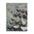 thumbnail image 1 of Elena Ray 'Gifts Of The Shore VI' Canvas Art, 1 of 3