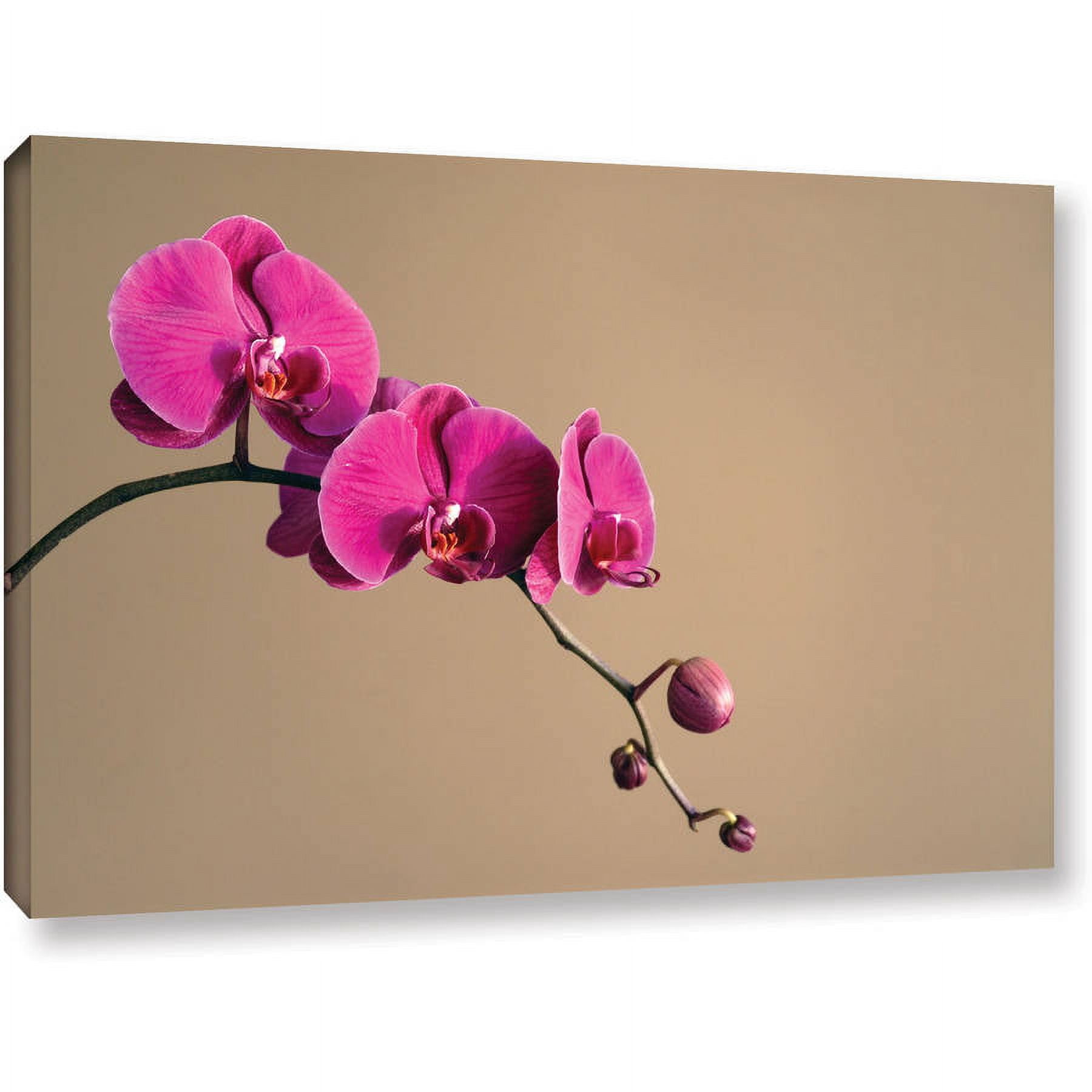 Elena Ray "Magenta Orchid" Gallery-Wrapped Canvas