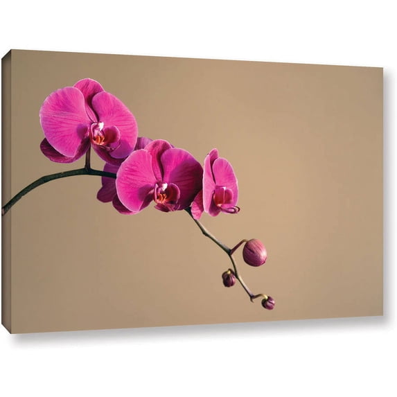Elena Ray "Magenta Orchid" Gallery-Wrapped Canvas