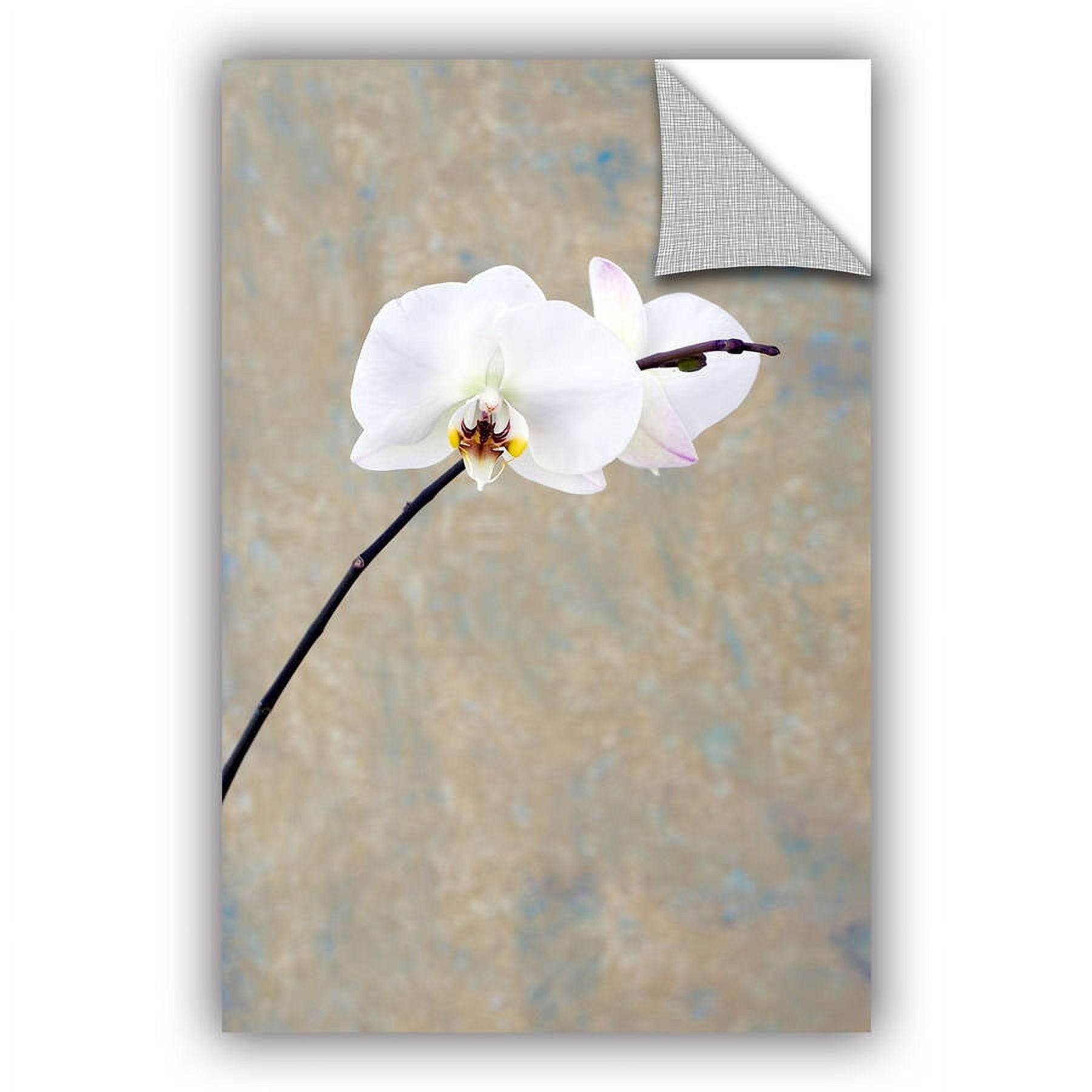 Elena Ray "Orchid Blossom" Removable Wall Art