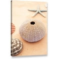 thumbnail image 1 of Elena Ray "Seashells" Gallery-Wrapped Canvas Art, 1 of 1