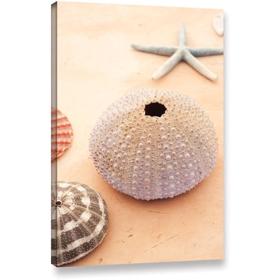 Elena Ray "Seashells" Gallery-Wrapped Canvas Art