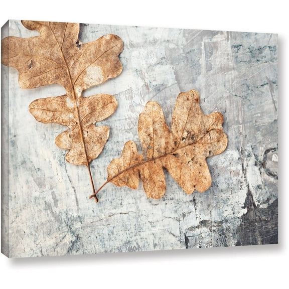 Elena Ray "Still Life Two Leaves" Gallery-Wrapped Canvas Art