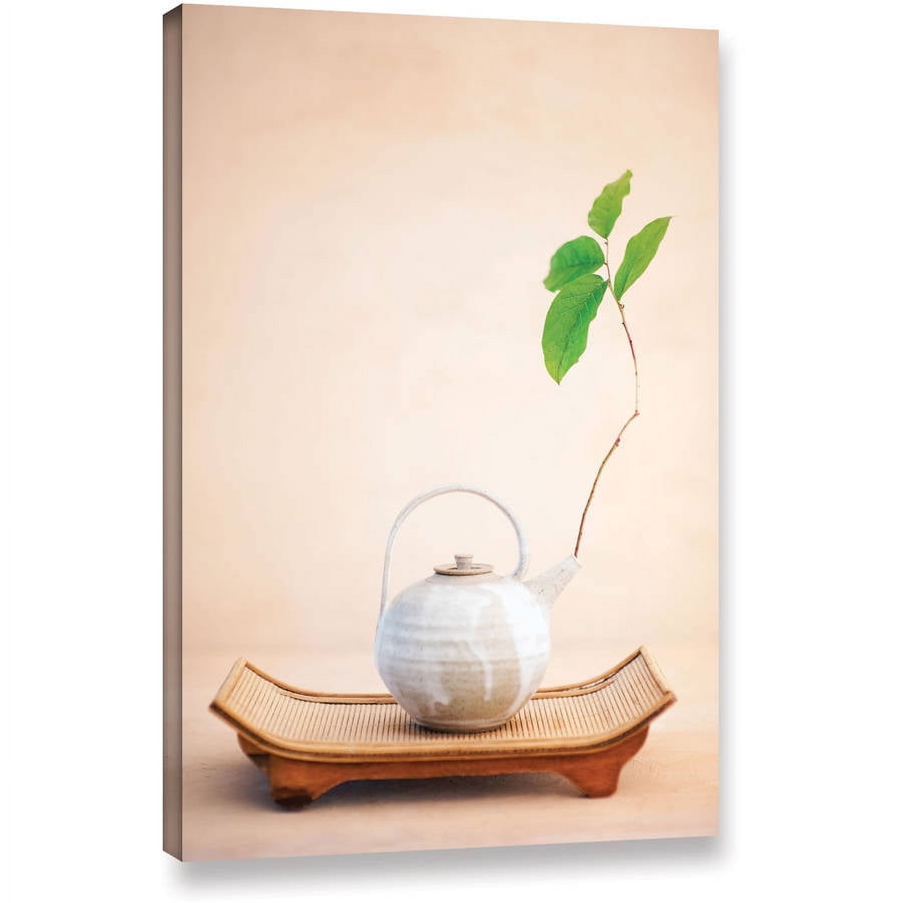 Elena Ray "Zen New Leaf" Gallery-Wrapped Canvas Art