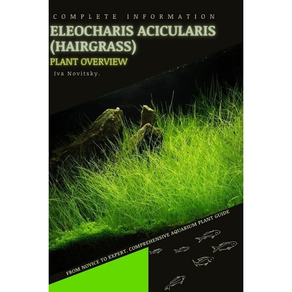 Eleocharis Acicularis (Hairgrass): From Novice to Expert. Comprehensive Aquarium Plants Guide (Paperback)