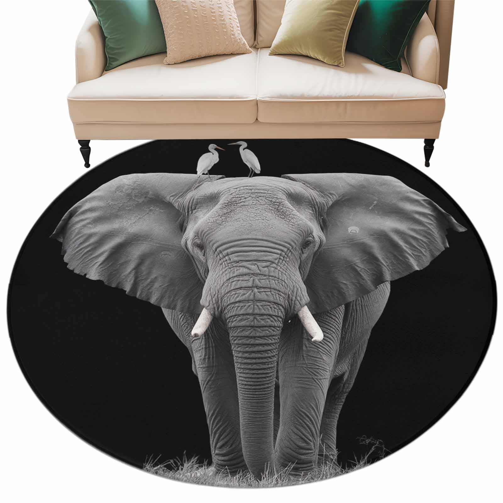 Elephant Bird Large Area Rugs for Bedroom Living Room, Soft Non Slip ...