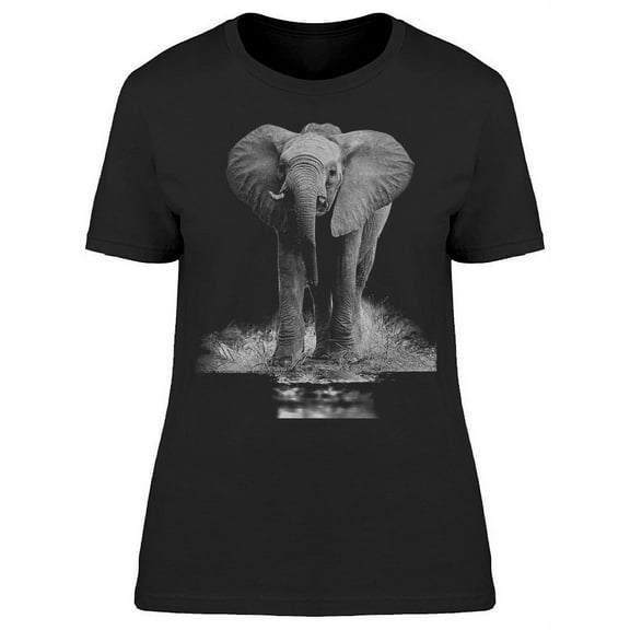 Elephant Black,white Artistic  T-Shirt Women -Image by Shutterstock, Female Medium