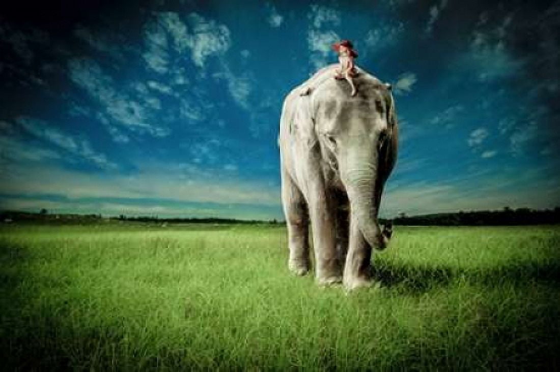 Elephant Carry Me Canvas Art - Jeff Madison (24 x 36)