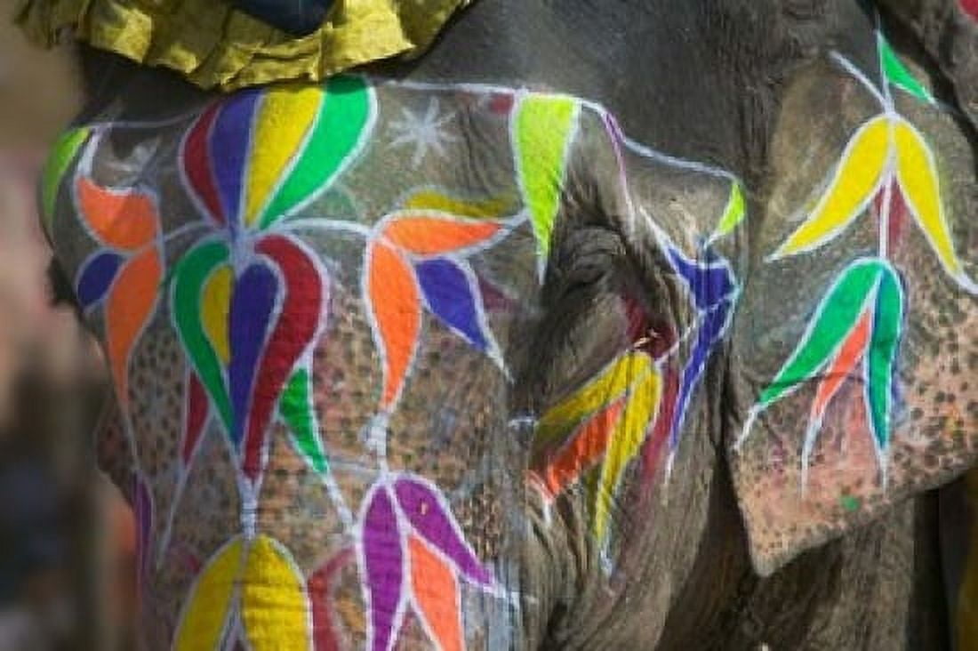Elephant Decorated with Colorful Painting Jaipur Rajasthan India Canvas Art - Keren Su DanitaDelimont (26 x 17)