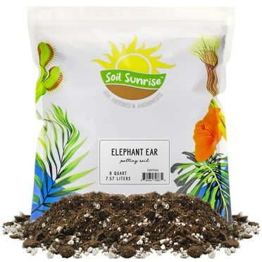 Elephant Ear Potting Soil Mix (8 Quarts), Colocasia and Alocasia Potted Plant Blend