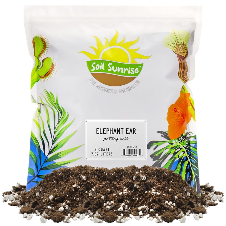 Soil Sunrise Indoor Elephant Ear Potting Soil Mix (8 Quarts), Blend for  Alocasia and Colocasia Potted Plants - Walmart.com