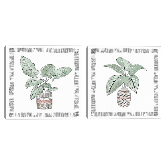 Elephant Ear & Zebra Plant by Tava Studios Canvas Art Print