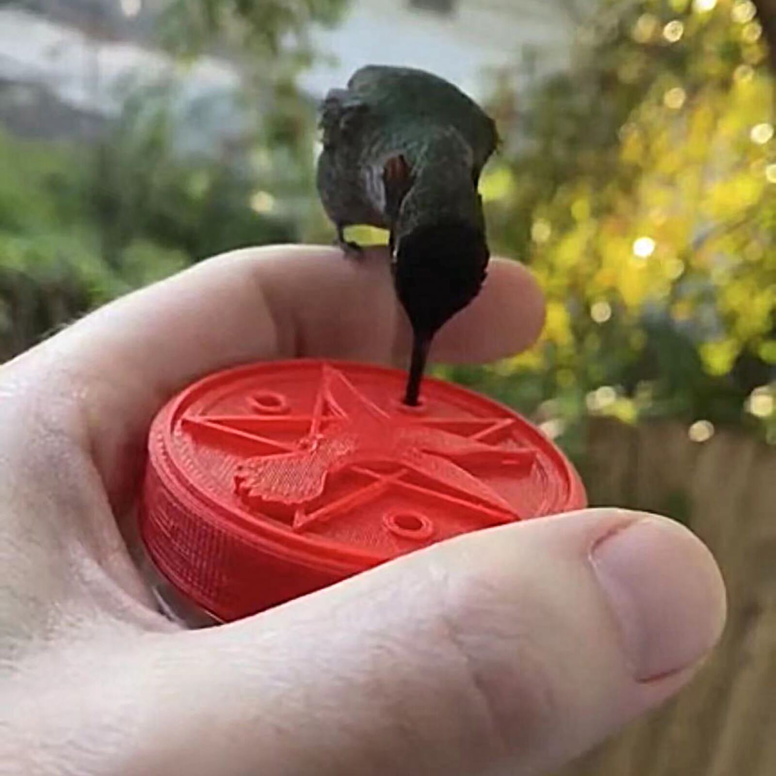 Elephant Feeder Handheld Hummingbird Feeder PET Mini Feeder Home