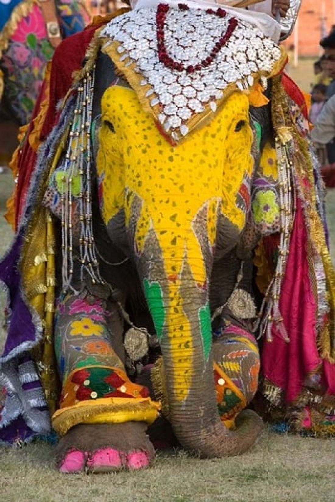 Elephant Festival Jaipur Rajasthan India Canvas Art - Philip Kramer DanitaDelimont (24 x 36)